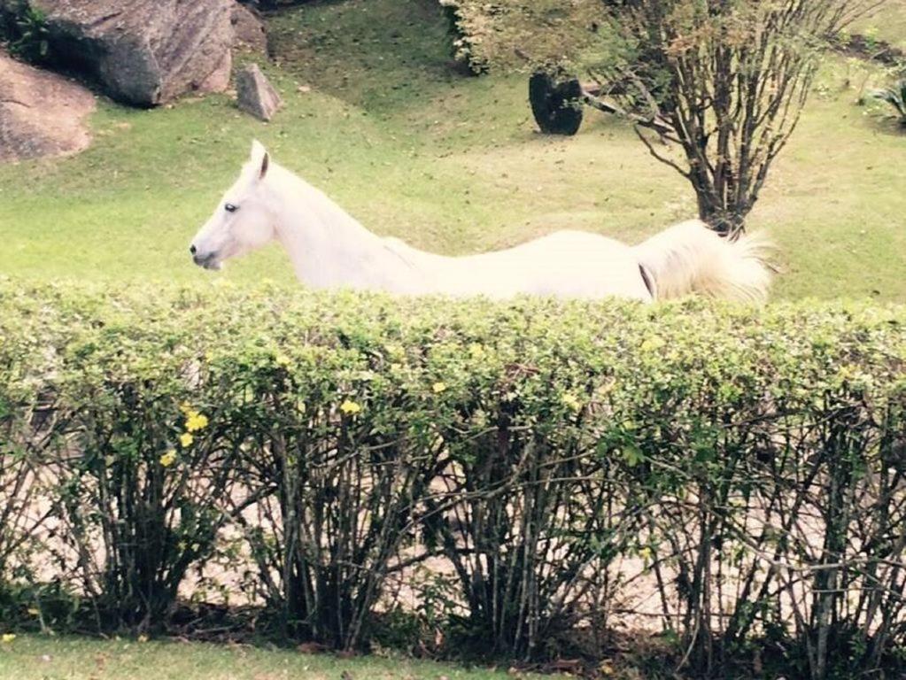 Fazenda Carpas Douradas Villa Sao Roque  Ngoại thất bức ảnh